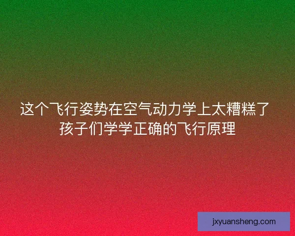 这个飞行姿势在空气动力学上太糟糕了 孩子们学学正确的飞行原理